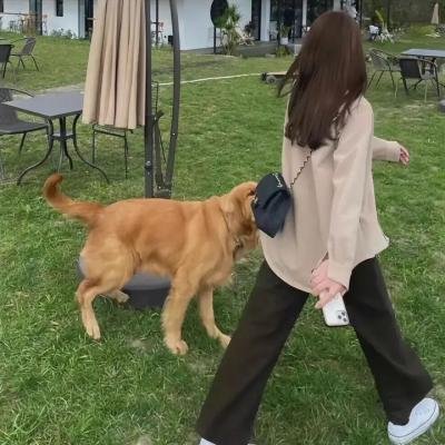 御魂师之封神令